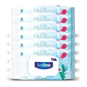 Deep Fresh Otantik 120 Yaprak 6'lı Islak Mendil
