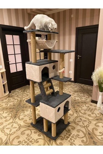Pethomealpi Oturaklı Oyuncaklı Merdivenli Katlı 175 cm Kedi Tırmalama Evi