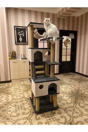 Pethomealpi Oturaklı Oyuncaklı Merdivenli Katlı 175 cm Kedi Tırmalama Evi
