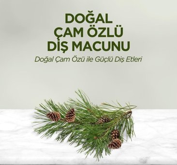 Eyüp Sabri Tuncer Çam Özlü Organik Florürsüz Diş Macunu 90 ml