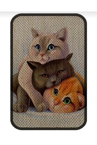 Bıo Cats 60 cm Kedi Tırmalama Paspası