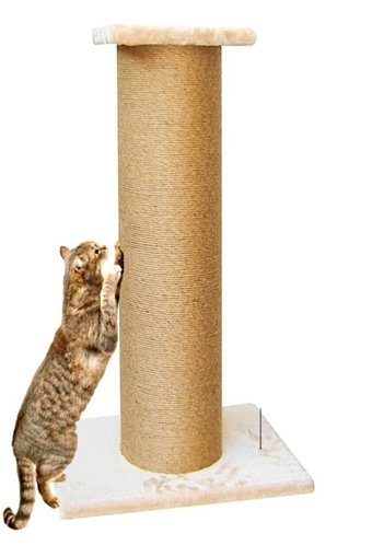 Turkuaz Oturaklı 85 cm Kedi Tırmalama Direği
