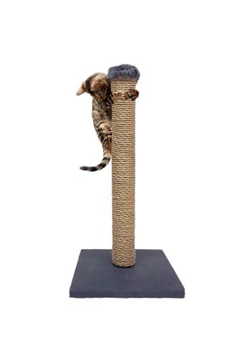 Patiderm 50 cm Kedi Tırmalama Direği