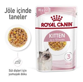 Royal Canin Kitten Tavuk Jöleli Yavru Yaş Kedi Maması 12x85 gr