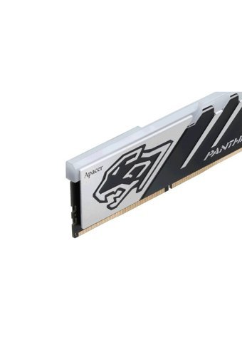 Corsair Apacer Panther AH5U16G56C5227BAA-1 16 GB DDR5 1x16 5600 Mhz Ram
