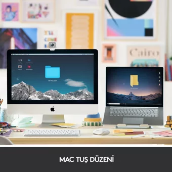 Logitech MX Keys Mini For Mac Türkçe Q Kablosuz Gri Numerik Klavye