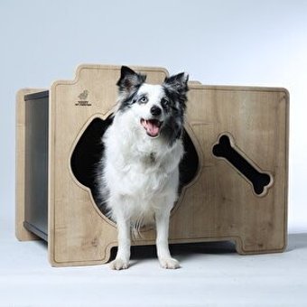 Woofy Woof Köpek Evi 1a