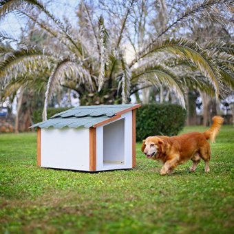 Mandu Dış Mekan Ahşap Köpek Kulübesi