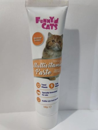 Funny B Vitamini A Vitamini E Vitamini Multivitamin Tüy Dökme Yetişkin Kedi Vitamini Macun 100 gr