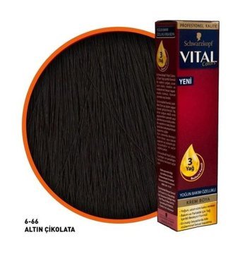 Vital Colors 6.66.Altın Çikolata Krem Saç Boyası
