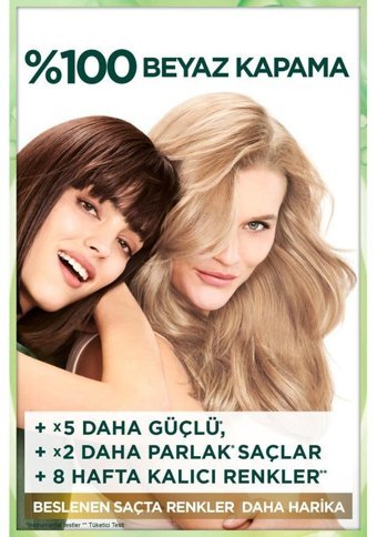 Garnier 1 Siyah Krem Saç Boyası