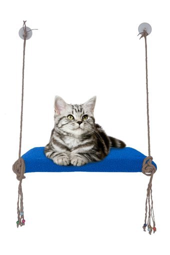 Patiderm Vantuzlu 35x50 cm Cama Yapışan Kedi Yatağı Mavi
