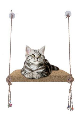 Patiderm Vantuzlu 35x50 cm Cama Yapışan Kedi Yatağı Bej