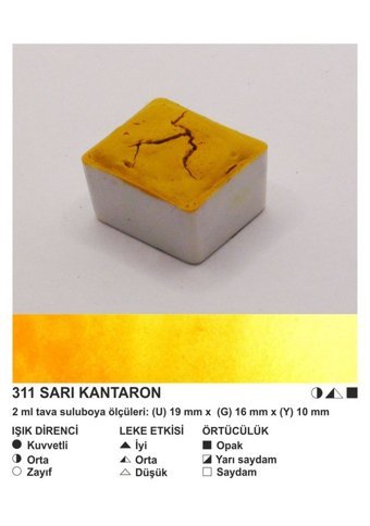 Şemse El Yapımı Sanatsal 12 Tava Sarı Kantaron Sulu Boya