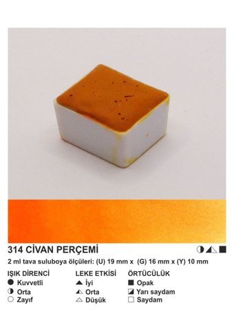 Şemse El Yapımı Sanatsal 12 Tava Civan Perçemi Sulu Boya