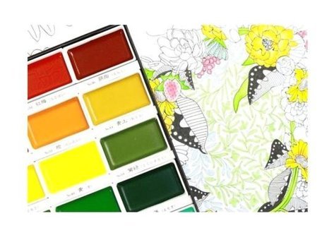 Zig Mc2048V Pigment Gansai Tambi 48'li Sulu Boya