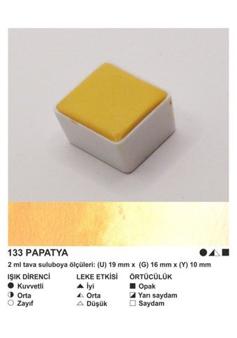 Şemse El Yapımı Sanatsal 12 Tava Papatya Taş Sulu Boya