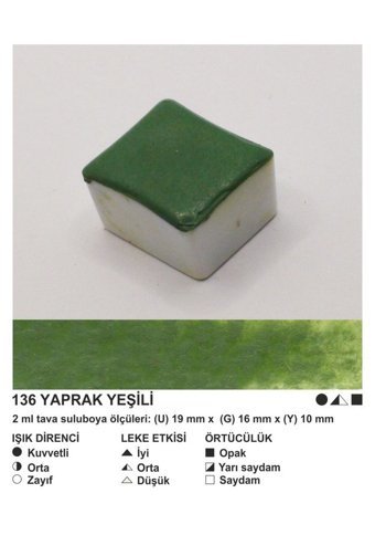Şemse El Yapımı Sanatsal 12 Tava Yaprak Yeşili Taş Sulu Boya