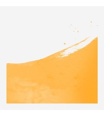 Talens Ecoline 231 Gold Ochre Sulu Boya