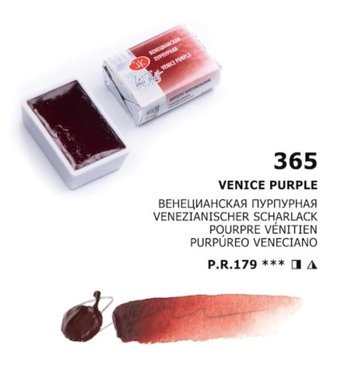 St. Petersburg White Nights Tam Tablet Venıce Purple Sulu Boya