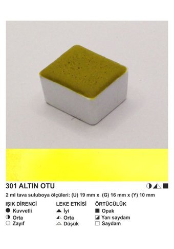 Şemse El Yapımı Sanatsal 12 Tava Altın Otu Sulu Boya
