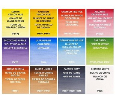 Winsor & Newton Cotman Field Box 12 Renk Sulu Boya