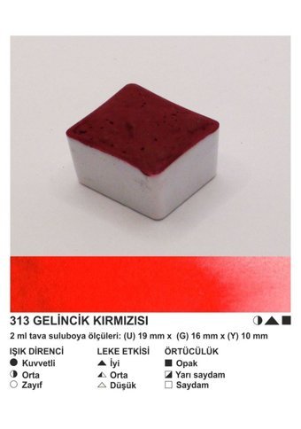 Şemse El Yapımı Sanatsal 12 Tava Anemon Sulu Boya