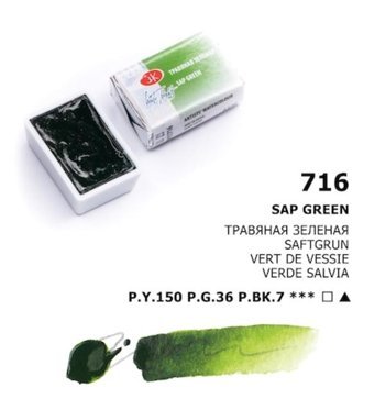 St. Petersburg White Nights Tam Tablet Sap Green Sulu Boya