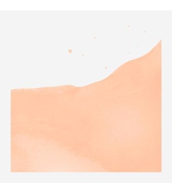 Talens Ecoline 258 Apricot Sulu Boya
