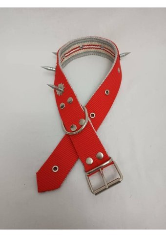 Kozaklı 10459 Ayarlanabilir Köpek Tasması 4 x 70 cm Turuncu