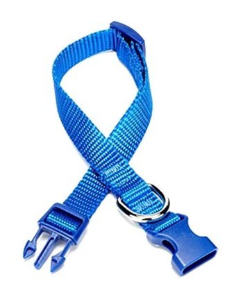 Doggie Classic Ayarlanabilir Boyun Köpek Tasması 1.5 x 25 - 40 cm Mavi