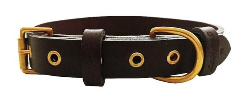 CecePet Tengri Ayarlanabilir Köpek Tasması 46 - 55 cm Kahverengi