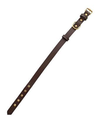 CecePet Tengri Ayarlanabilir Köpek Tasması 46 - 55 cm Kahverengi