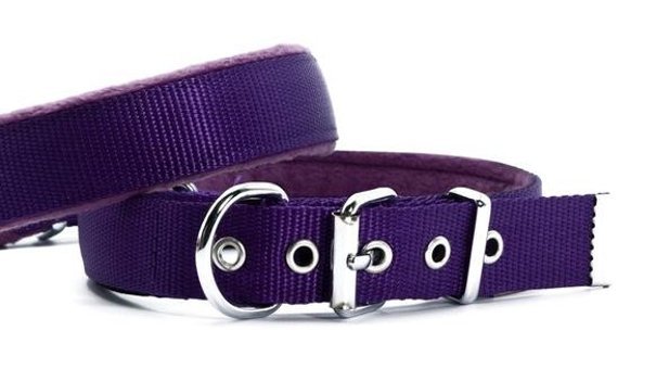 Doggie Ayarlanabilir Boyun Köpek Tasması 2 x 30 - 35 cm Mor