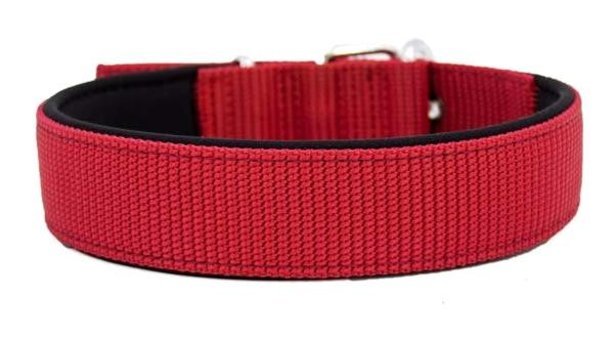 Doggie Comfort Ayarlanabilir Boyun Köpek Tasması 4 x 47 - 55 cm Kırmızı