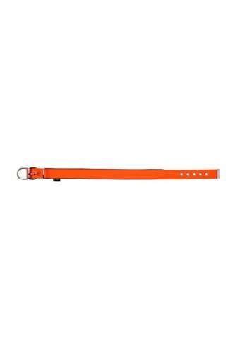 Actirex Ayarlanabilir Boyun Köpek Tasması 2.5 x 52 cm Turuncu