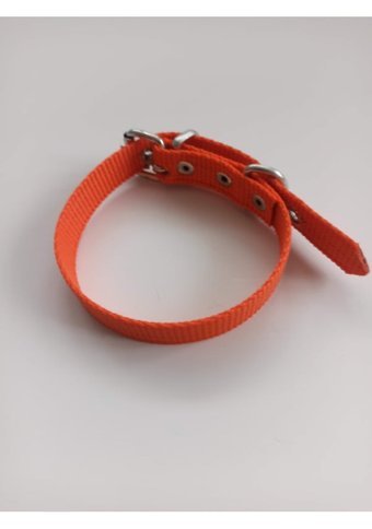 Kozaklı Ayarlanabilir Boyun Köpek Tasması 2 x 40 cm Turuncu