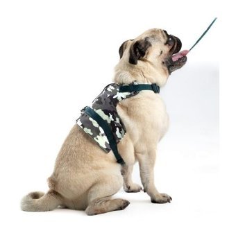 Patipatron Kaçış Önleyici Ayarlanabilir Göğüs Köpek Tasması L Çok Renkli