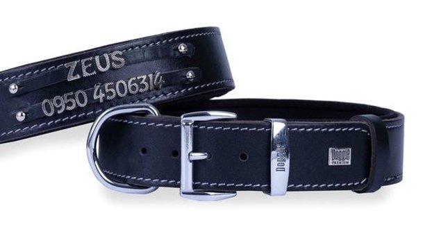 Doggie İsimli Ayarlanabilir Boyun Köpek Tasması 4 x 47 - 55 cm Siyah