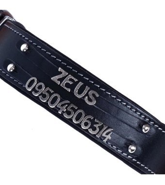 Doggie İsimli Ayarlanabilir Boyun Köpek Tasması 4 x 47 - 55 cm Siyah