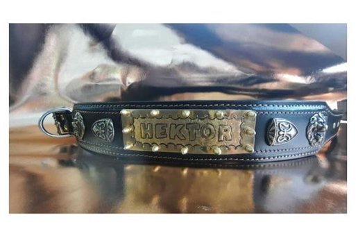 Mg Tasma İsimli Ayarlanabilir Boyun Köpek Tasması Siyah