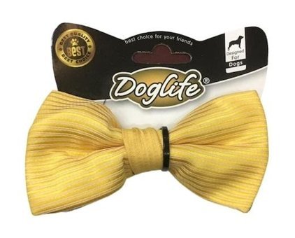 Doglife Köpek Tasması 12 cm Sarı