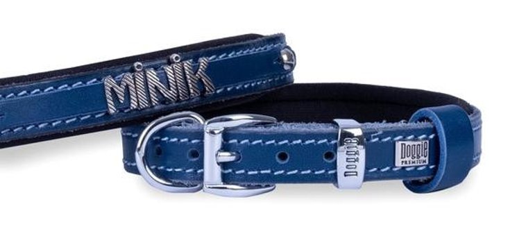 Doggie İsimli Ayarlanabilir Boyun Köpek Tasması 1.5 x 25 - 30 cm Mavi