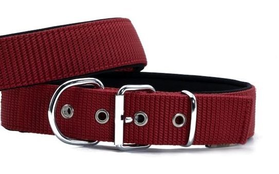 Doggie Elit Ayarlanabilir Boyun Köpek Tasması 4 x 57 x 65 cm Kırmızı