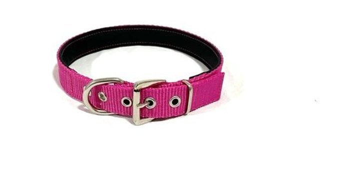 Ehlipet Ayarlanabilir Boyun Köpek Tasması 2.5 x 40 - 48 cm Pembe