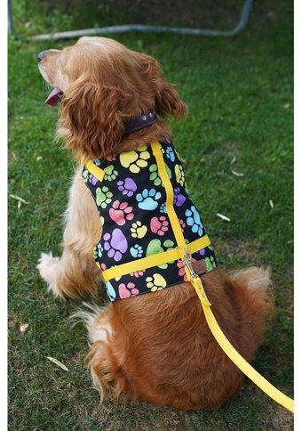 Patipatron Kaçış Önleyici Ayarlanabilir Göğüs Köpek Tasması 4XL Sarı