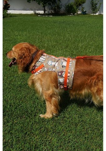Patipatron Kaçış Önleyici Ayarlanabilir Göğüs Köpek Tasması XS Turuncu
