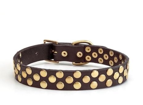 CecePet Aten Ayarlanabilir Köpek Tasması 36 - 45 cm Kahverengi