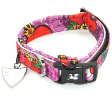 Dogness Neoprene Ayarlanabilir Boyun Köpek Tasması S Çok Renkli