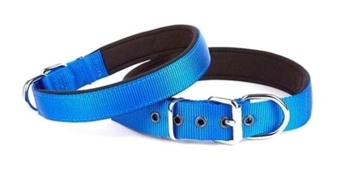Doggie Comfort Ayarlanabilir Boyun Köpek Tasması 2.5 x 42 - 50 cm Mavi